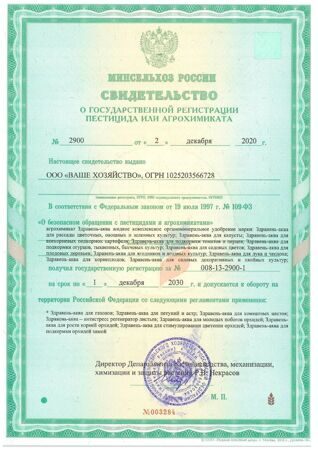 «Здравень АКВА-Стрим Газон» 1 л_2